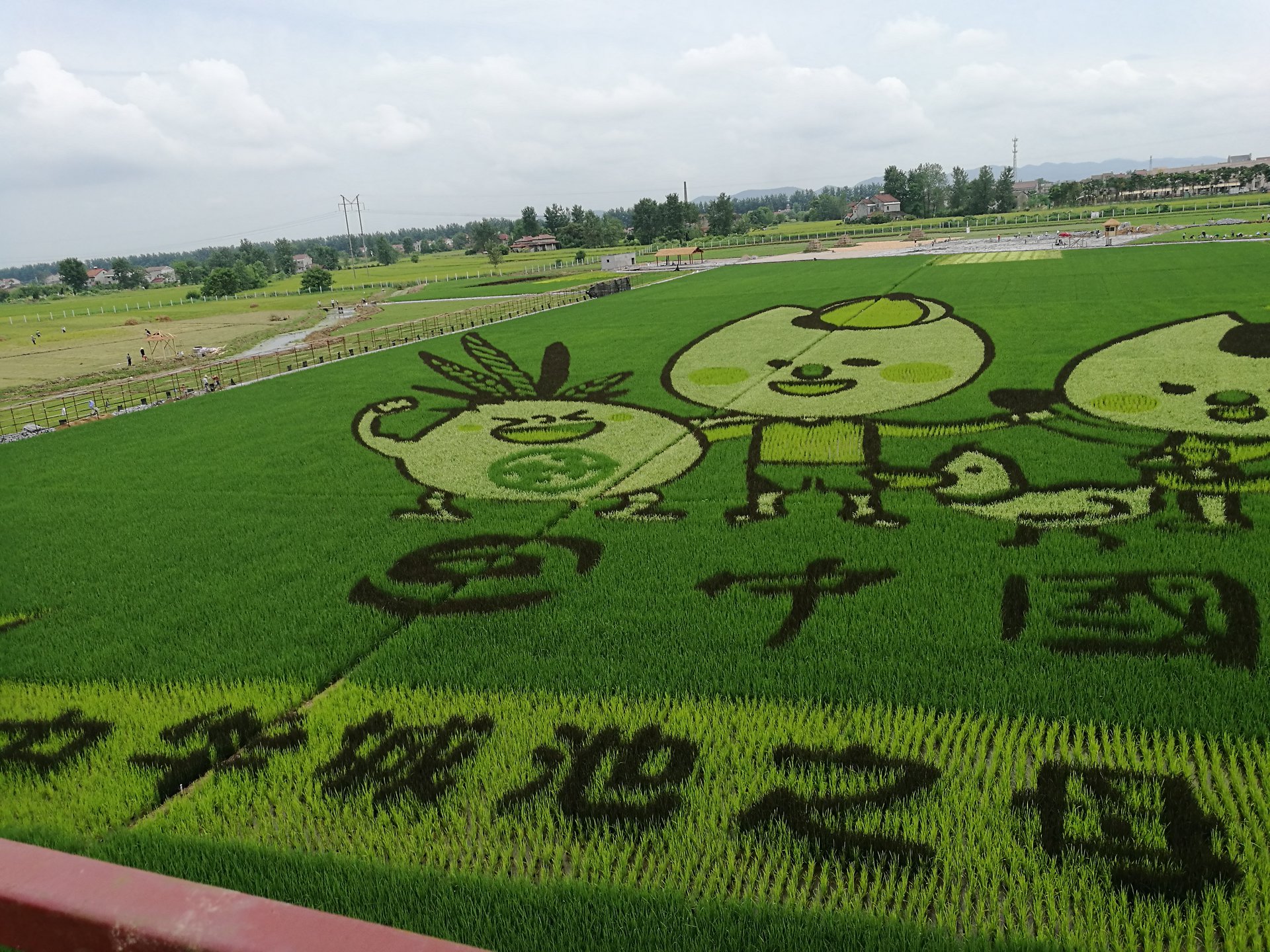 城头山稻田彩绘