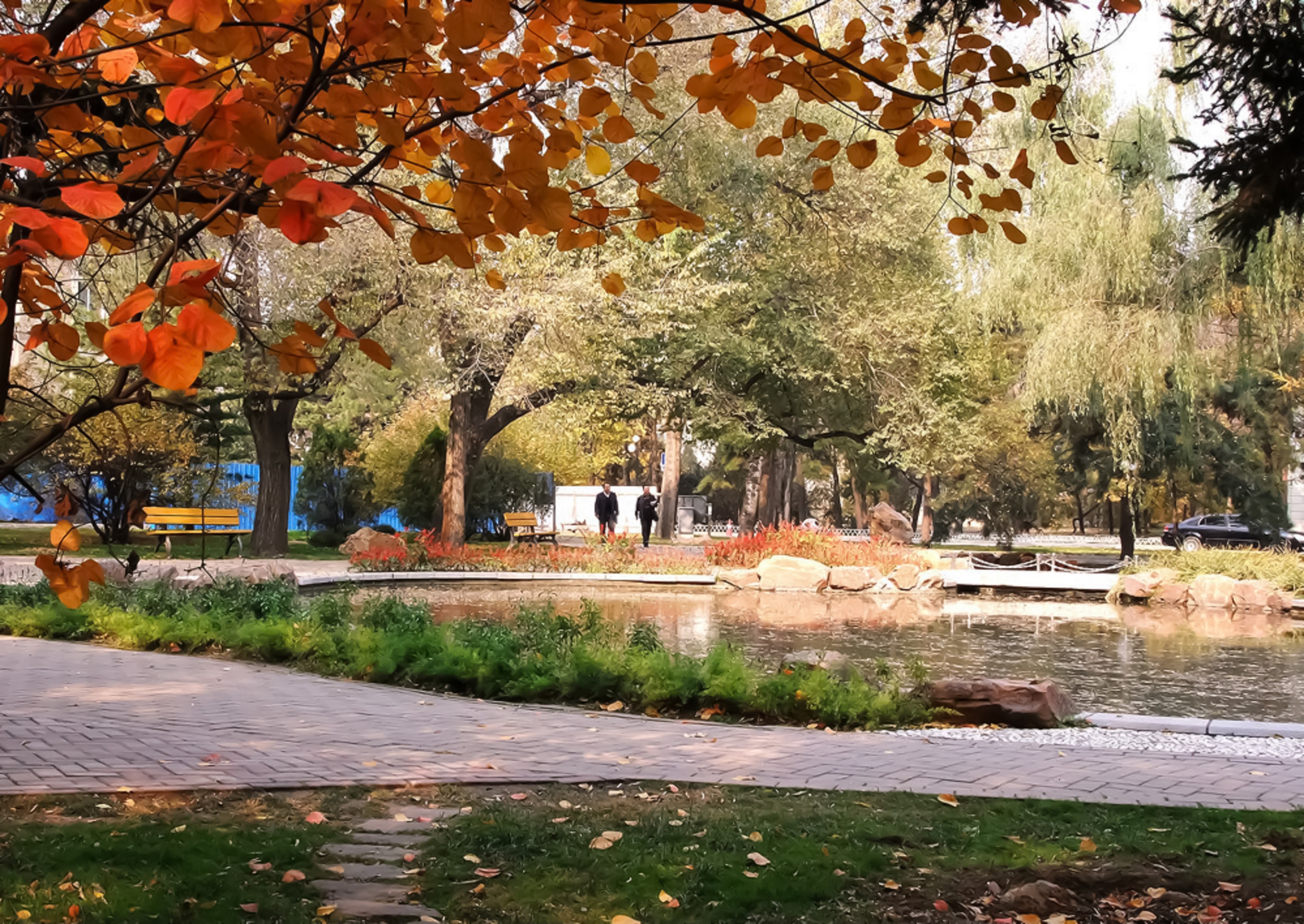 大学(shenyang agricultural university)简称沈农或沈阳农大,是辽宁