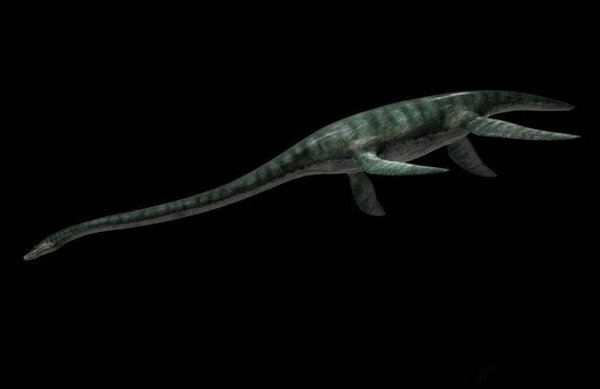 幻龙是远古时期<a href="#" data