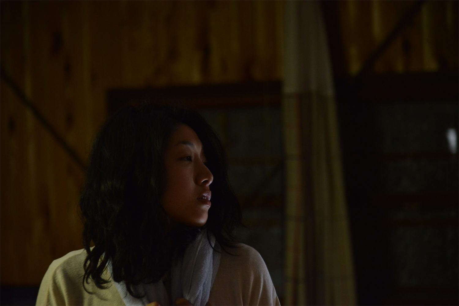 17626181" data-lemmaid="17626181">安藤桃子 /a>自编自导的剧情电影