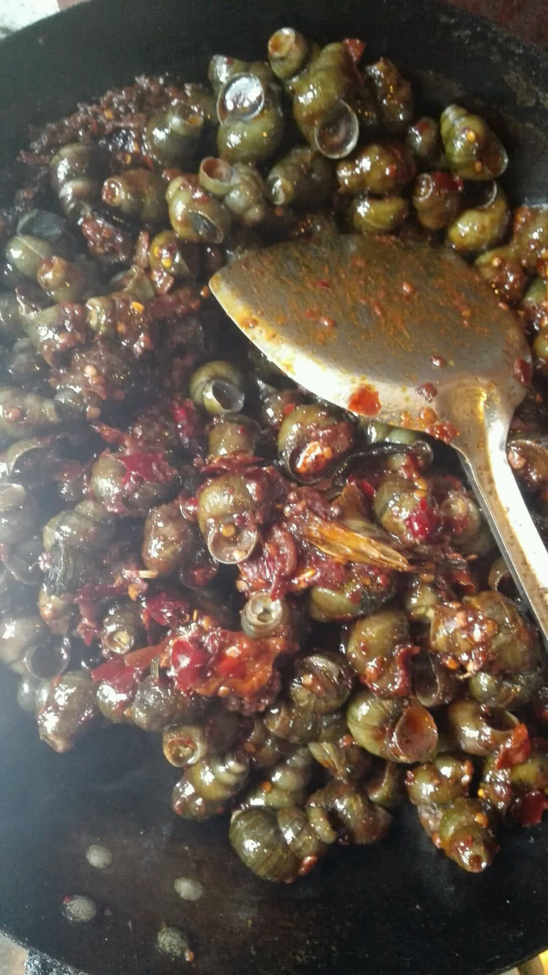辣炒小蜗牛