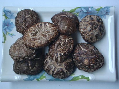  p data-id="gnbpjlhfu2">五台山蘑菇简称,台蘑是一种营养极高的