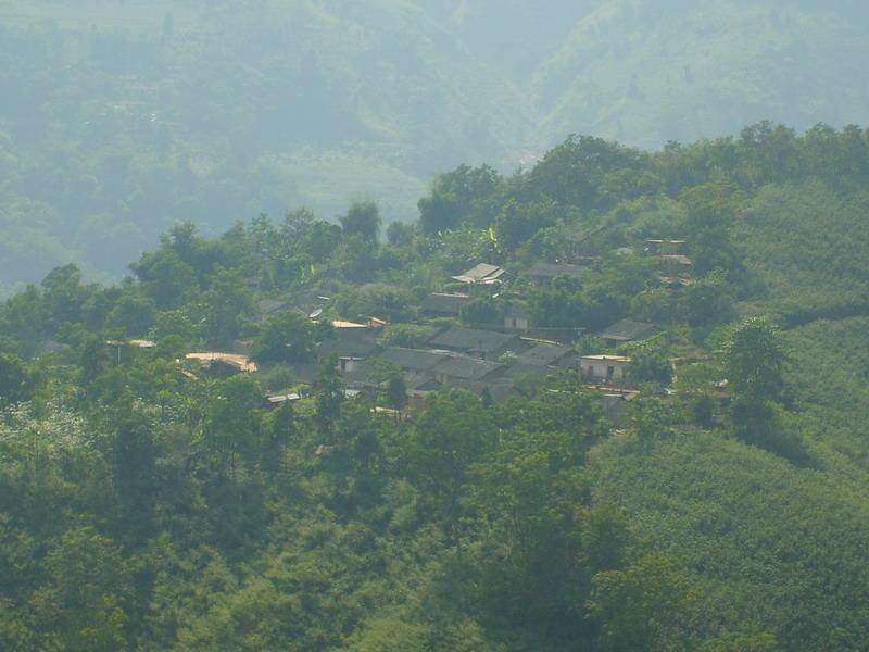href="/item/红河州">红河州 /a>金平苗族瑶族傣族自治县老勐乡老勐
