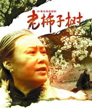 老柿子树