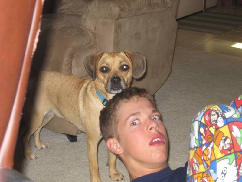 是一个叫steven(真名stephen quire)的美国男孩.