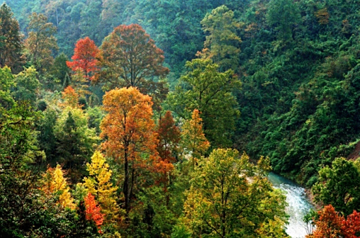 佛顶山照