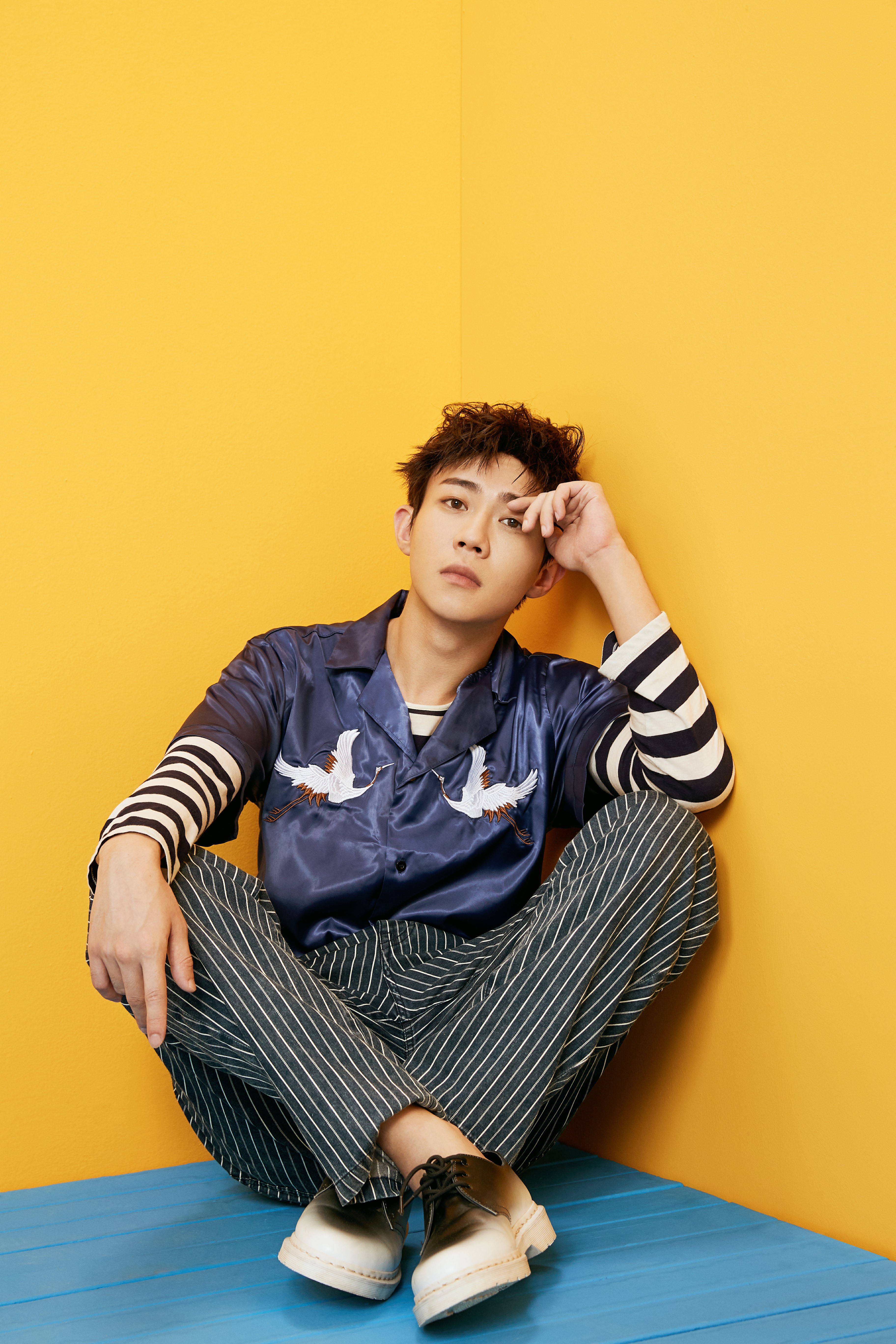 王思远 全网资源