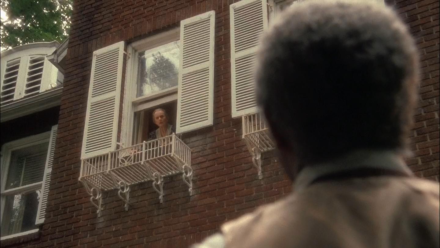 为黛西小姐开车