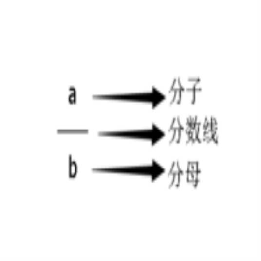 分母（数学术语）_百度百科