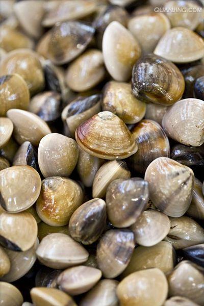  /i>)是帘蛤科蛤仔属的一种贝类,别名花甲,中国南方俗称花蛤,辽宁称