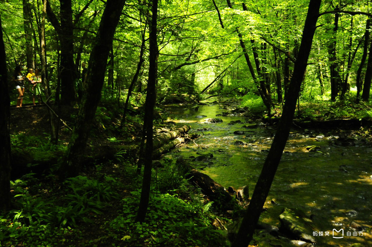 大烟山国家公园