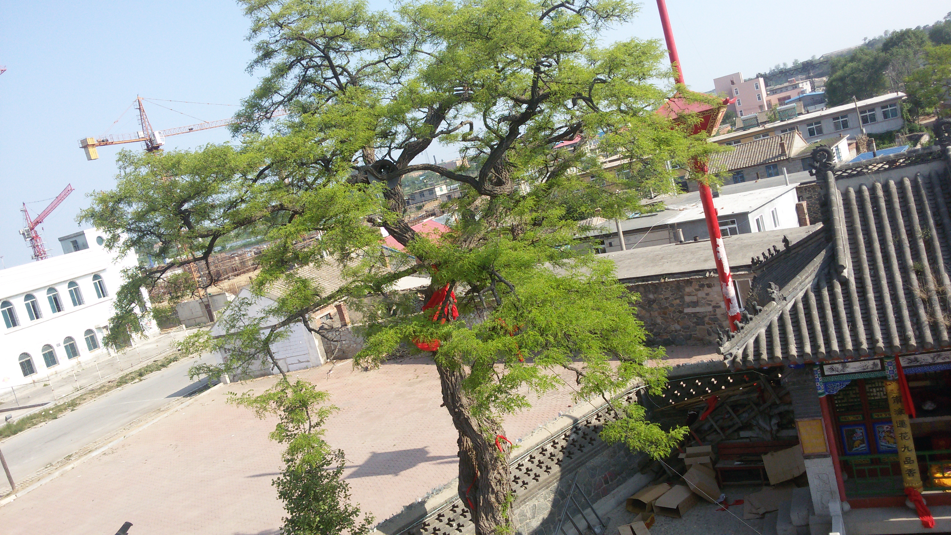  p>大连三清观,位于 a target="_blank" href="/item/辽宁省/739981"