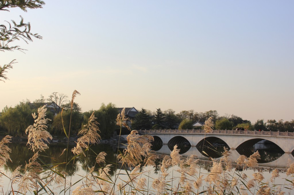  p>河南郑州中牟雁鸣湖坐落于古都开封到郑州之间, 中牟县 a href="#"