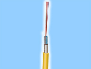  p>微型光缆是 a>接入网 /a>中关键的组成元素,其作用就是传输信息.