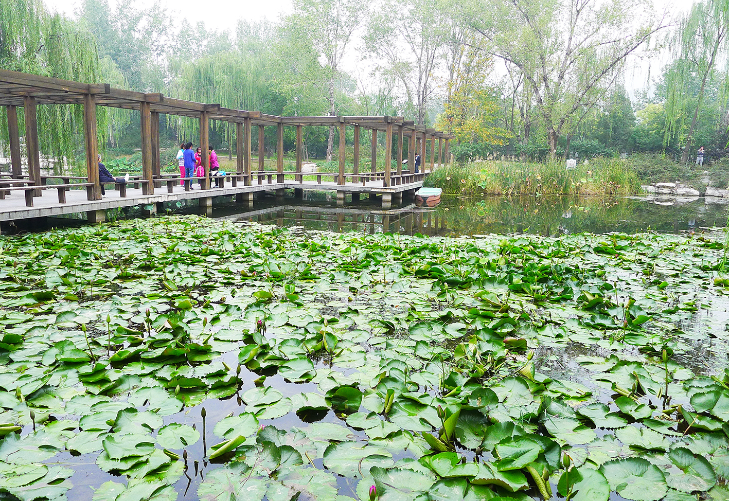  p>北京植物园位于 a target="_blank" href="/item/京西/3586866"