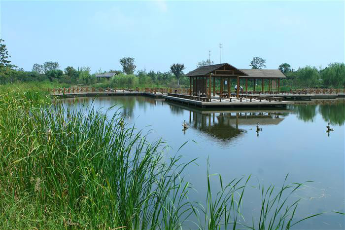  p>千灯大唐生态园分为五期建设.