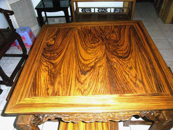 刚果小鞋木豆木