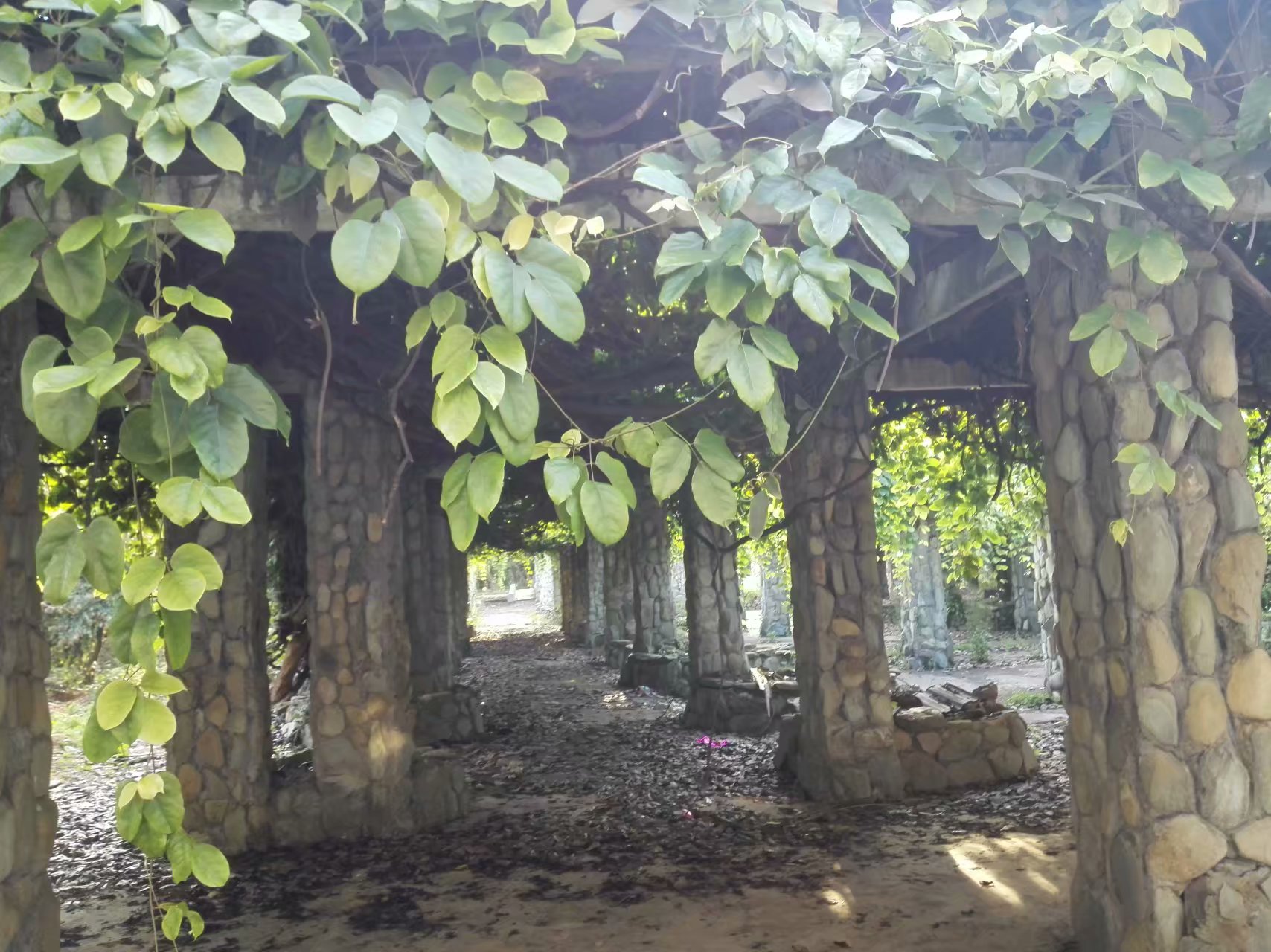 景德镇得雨生态园