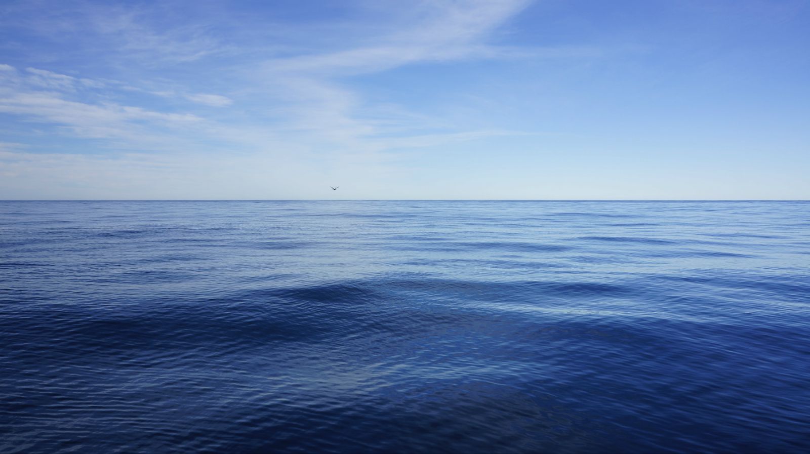 地球上有四大洋 它们的名字是怎么来的 百科ta说