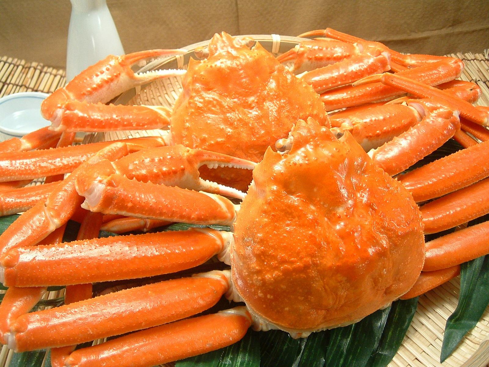 俗名:雪蟹,皮匠蟹(美国),皇后蟹(加拿大和欧洲)(snow crab,queen crab
