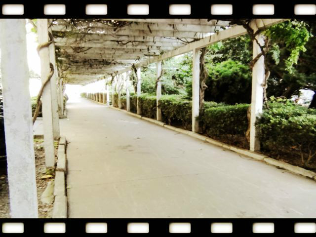 平湖市东湖中学