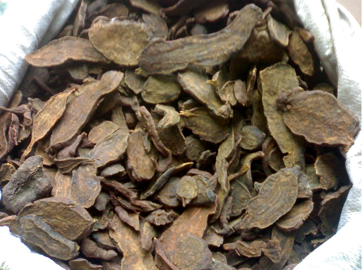何首乌（蓼科何首乌属植物）_百度百科