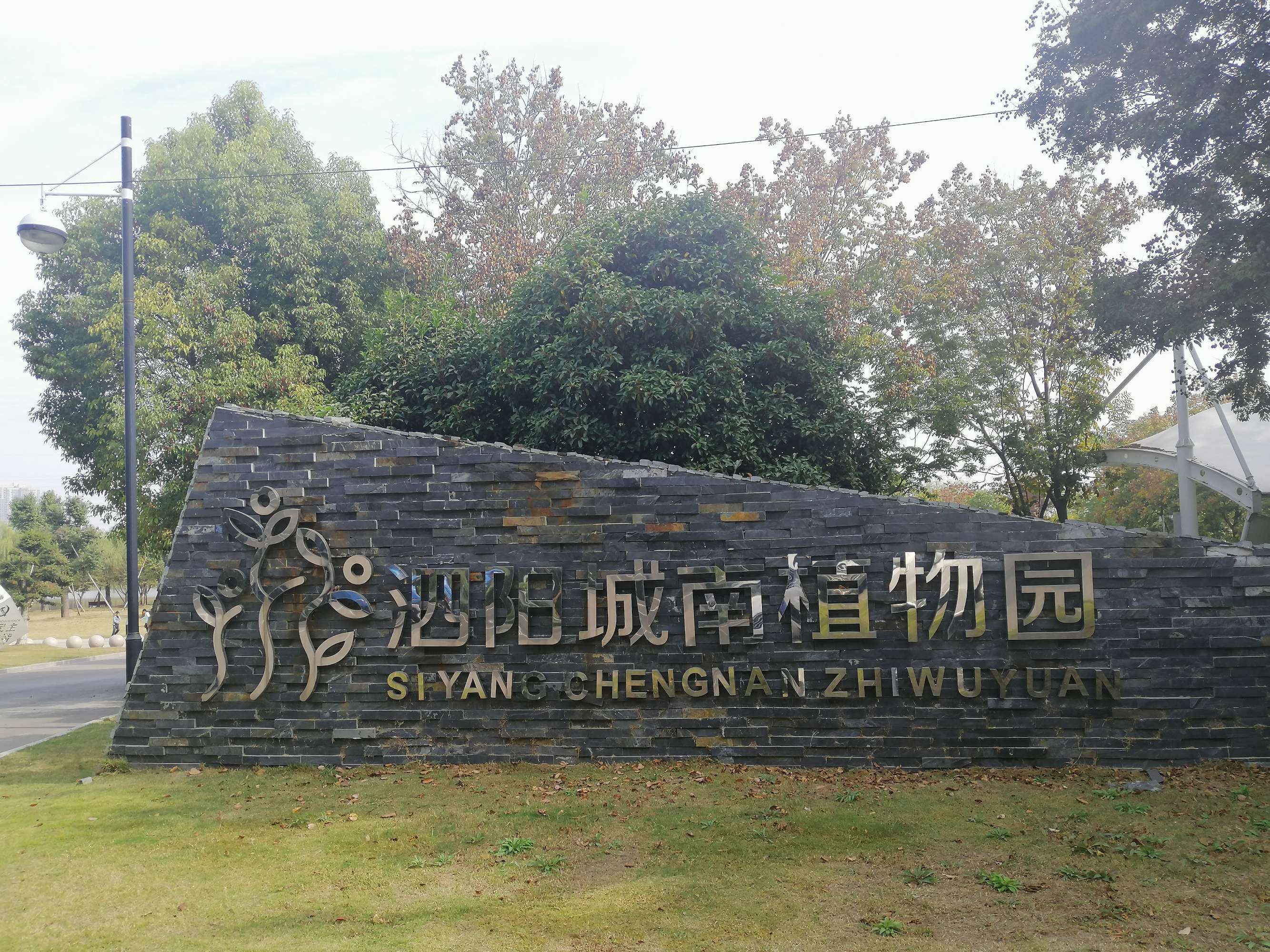 泗阳城南植物园