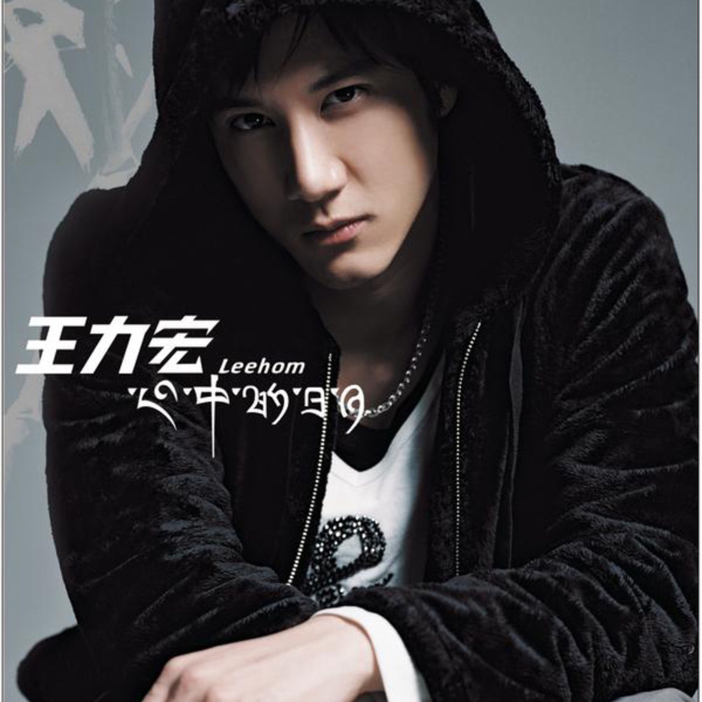 心中的日月（2004年王力宏演唱的中国风节奏蓝调歌曲）_百度百科