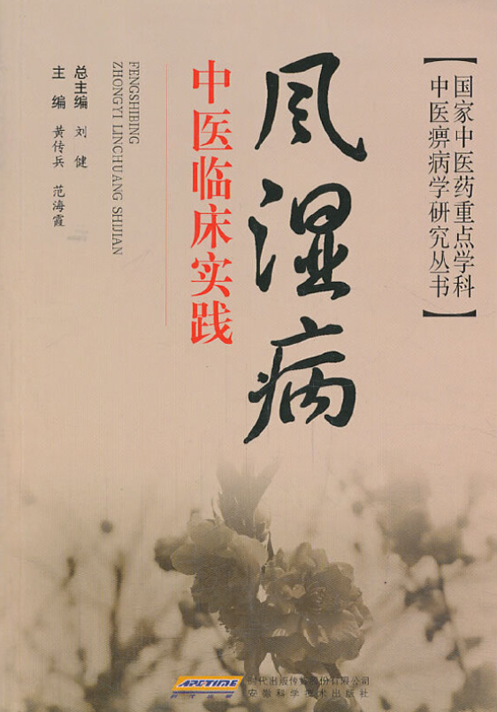 风湿病中医临床实践