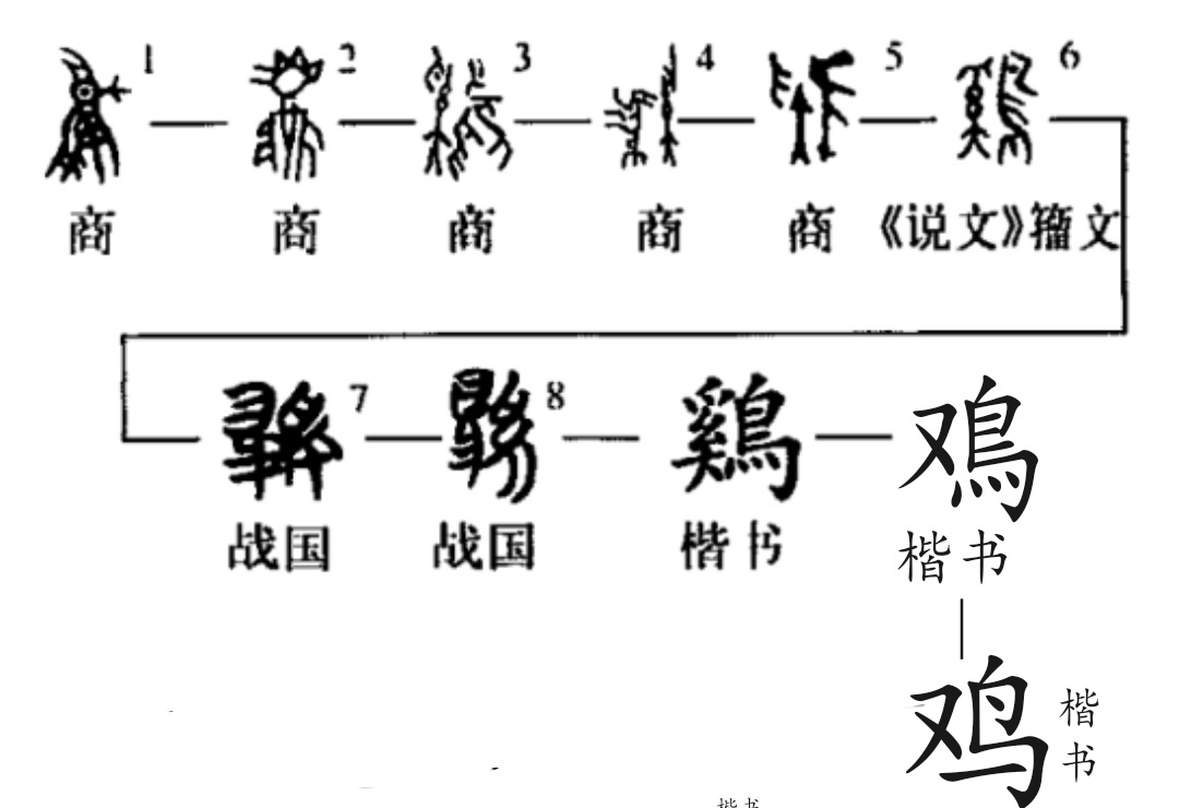 禽的部首 全网资源