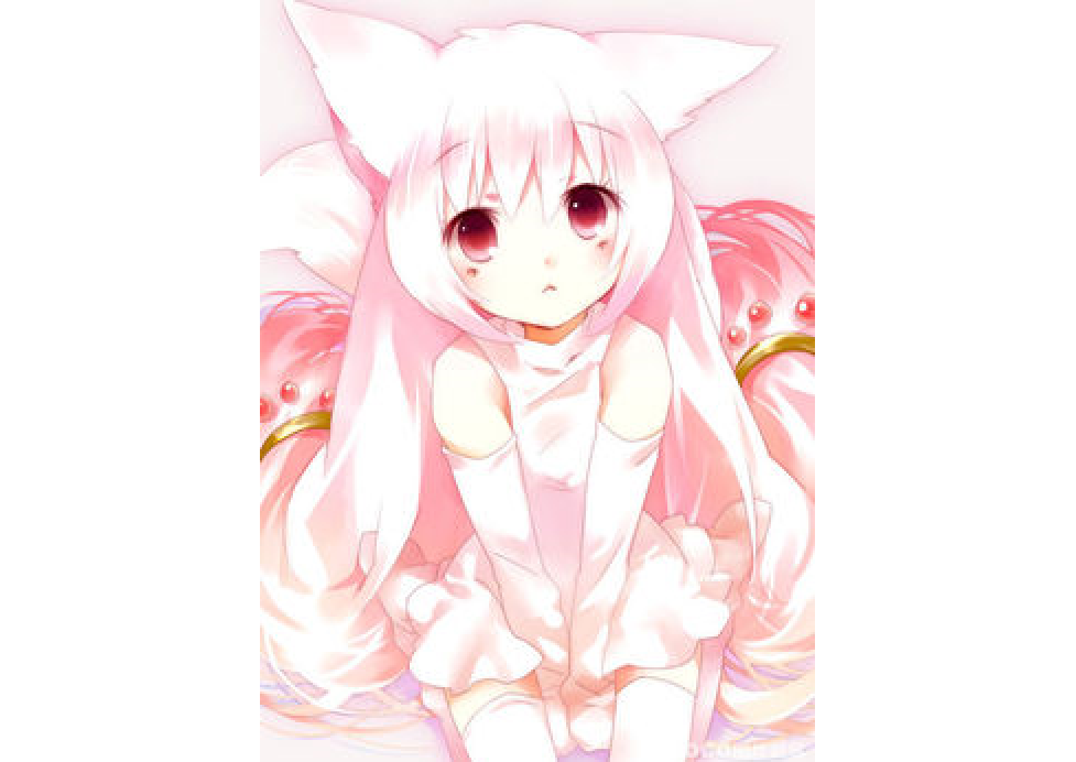 [伪魔法少女小圆 无头]魔法大叔c计划