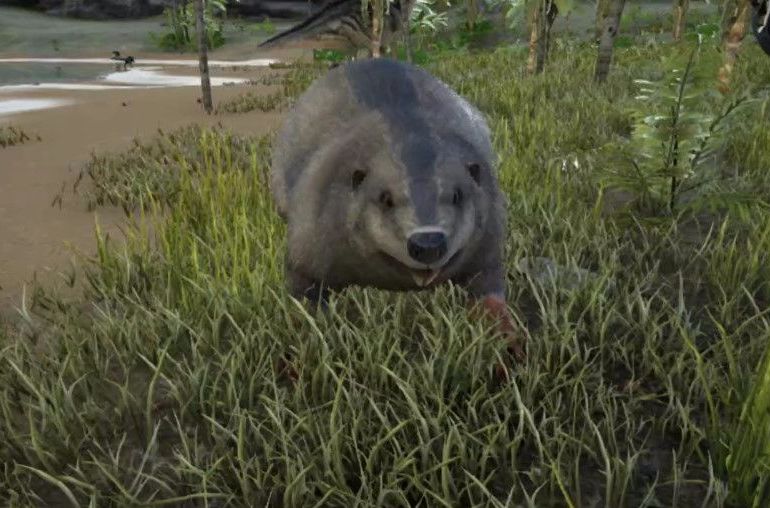 巨河狸(castoroides)