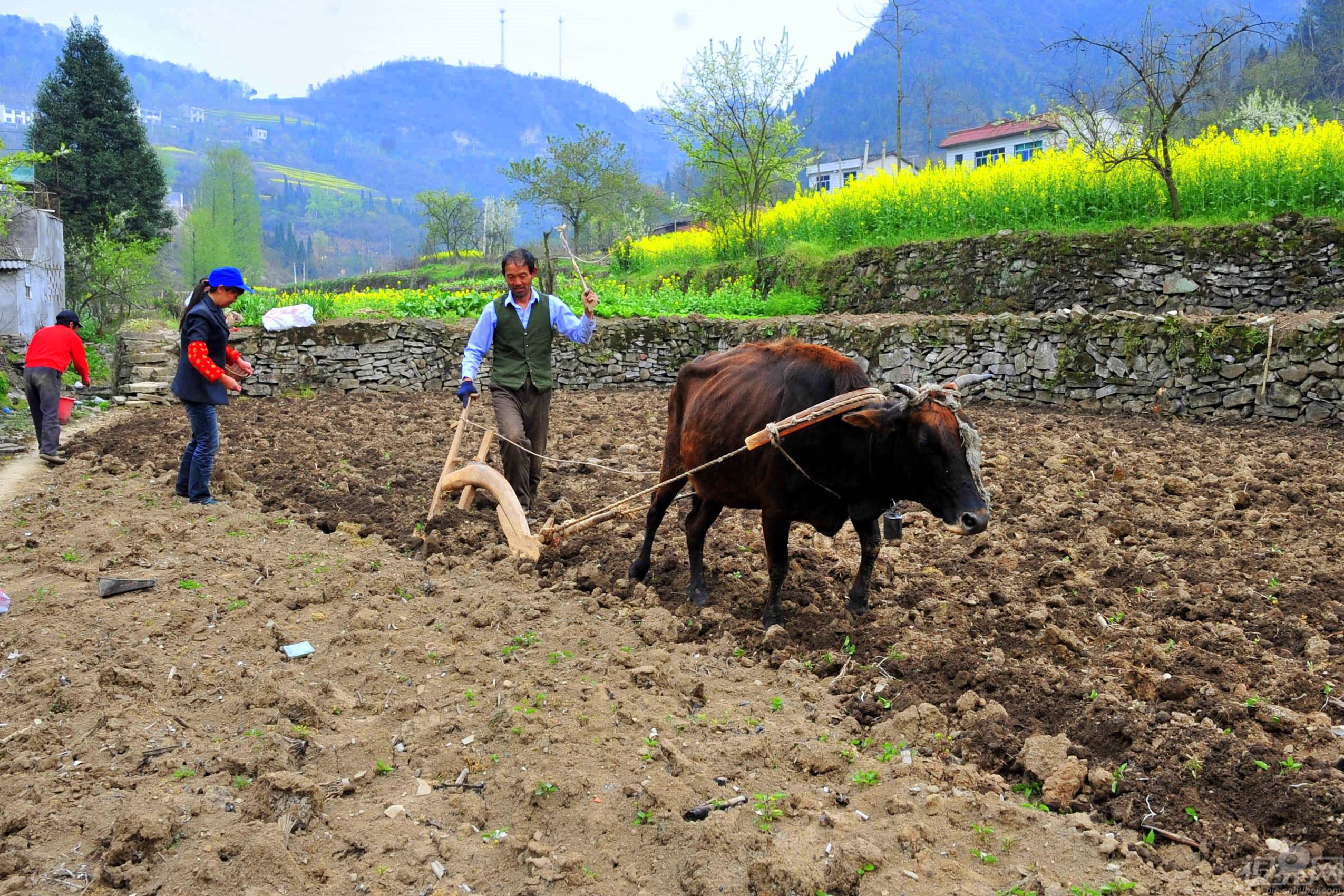  p data-id="go05vewy12">《惊蛰》是左河水所作的一首诗,出自《中国