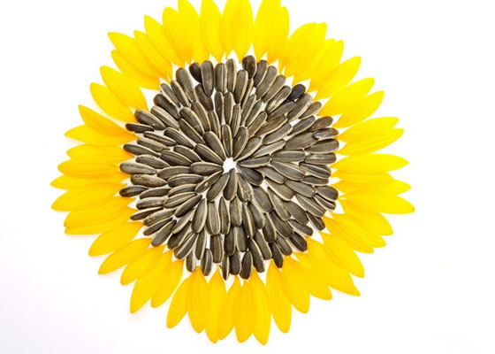 你知道古人是什么时候翘着二郎腿吃上葵花籽的吗 百科ta说