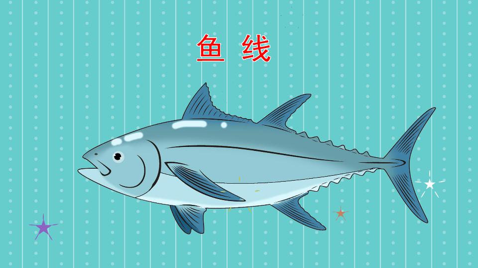 鱼线:鱼的身上一条侧线