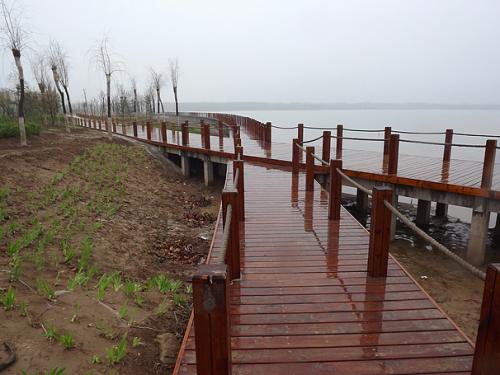  p data-id="gnawc9wat6">双海湖生态书画公园位于中国书画艺术之乡