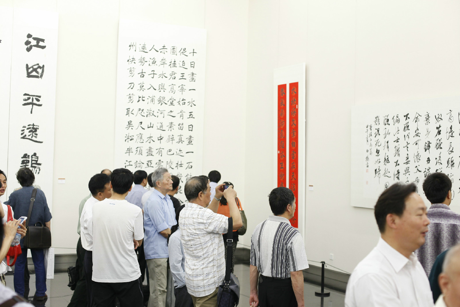 太和县, a target="_blank" href="/item/中国书法家协会">中国书法家