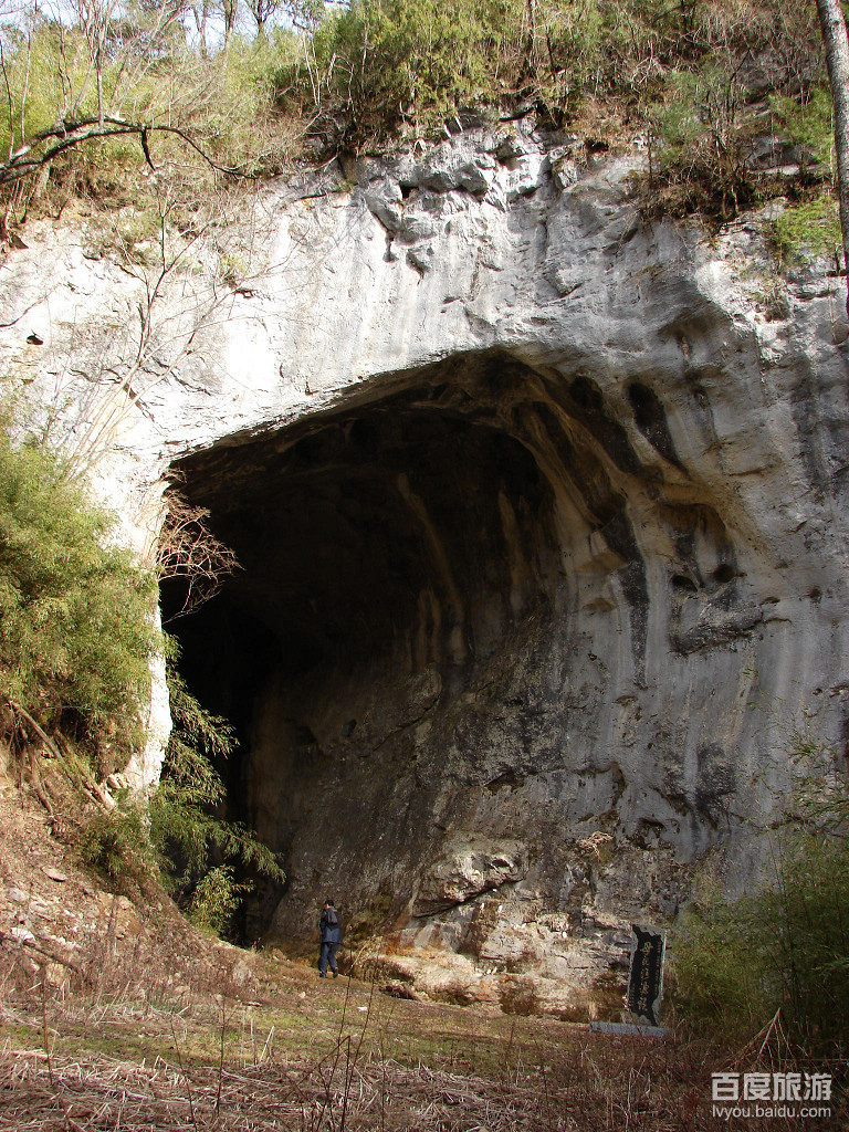 五龙洞国家森林公园,位于 a target="_blank" href="/item/林州市