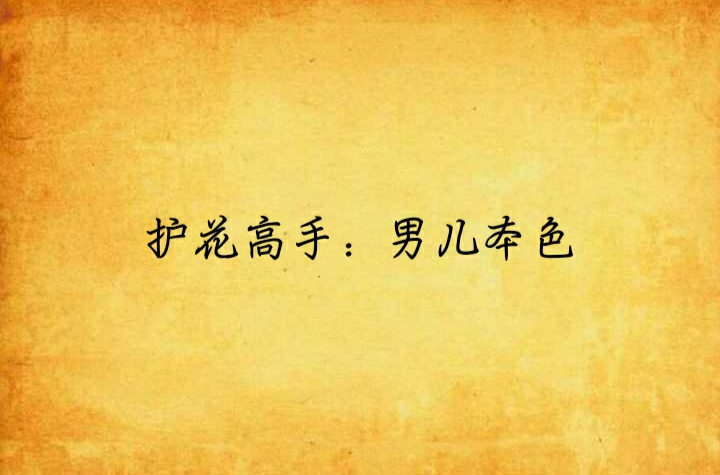 护花高手:男儿本色