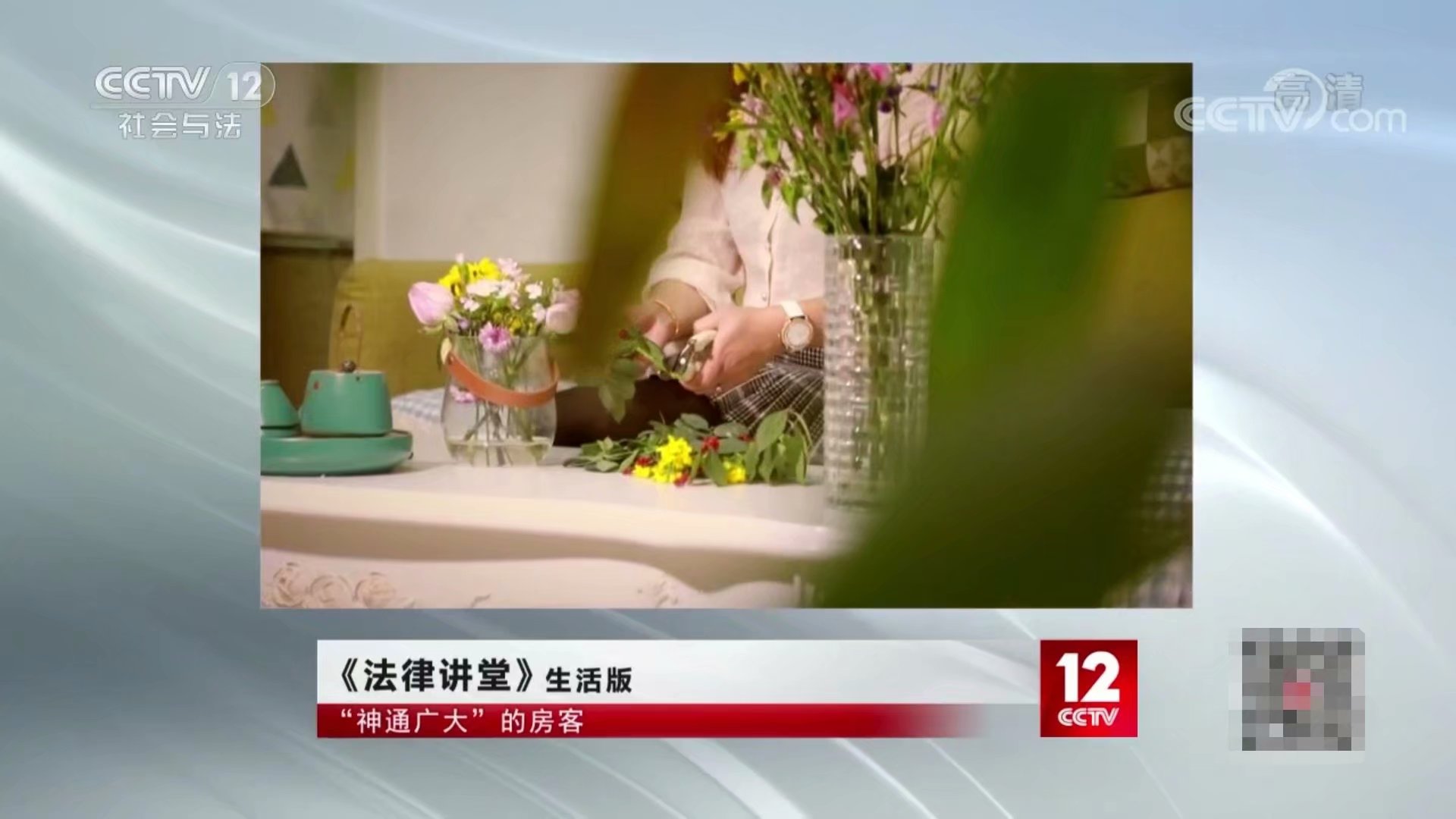  p data-id="gnzrqmbiwh">《法律讲堂》生活版是 a target="_blank"