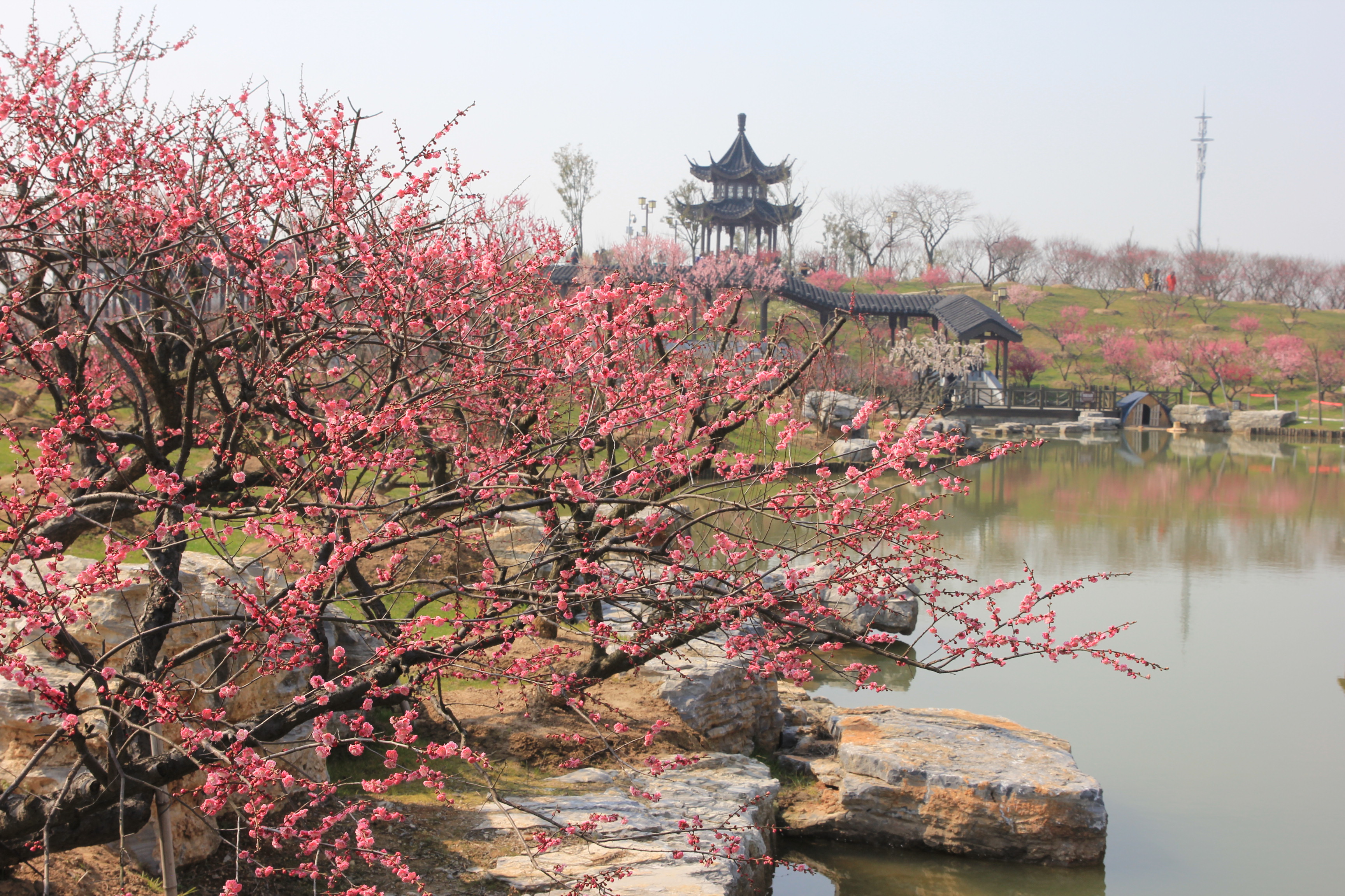  p>梅花湾位于 a target="_blank" href="/item