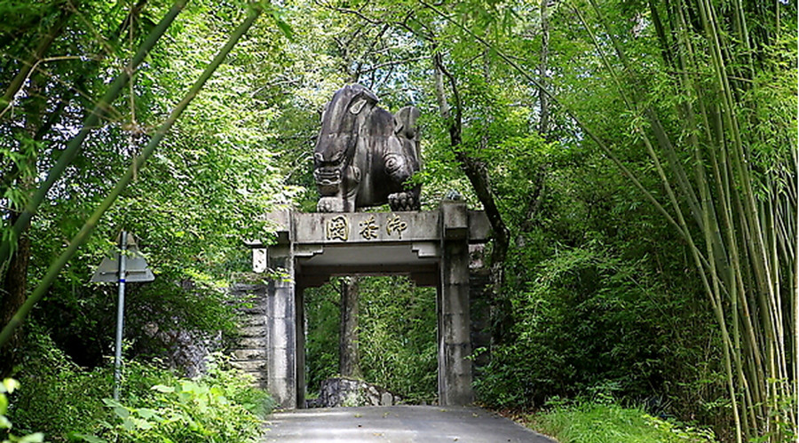  p data-id="gnwqhf3ncm">元代皇家御茶园的遗址,四曲溪南有一片依山