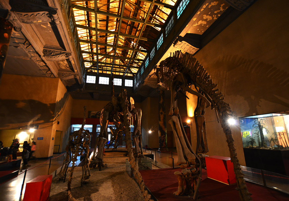 自然博物馆上海