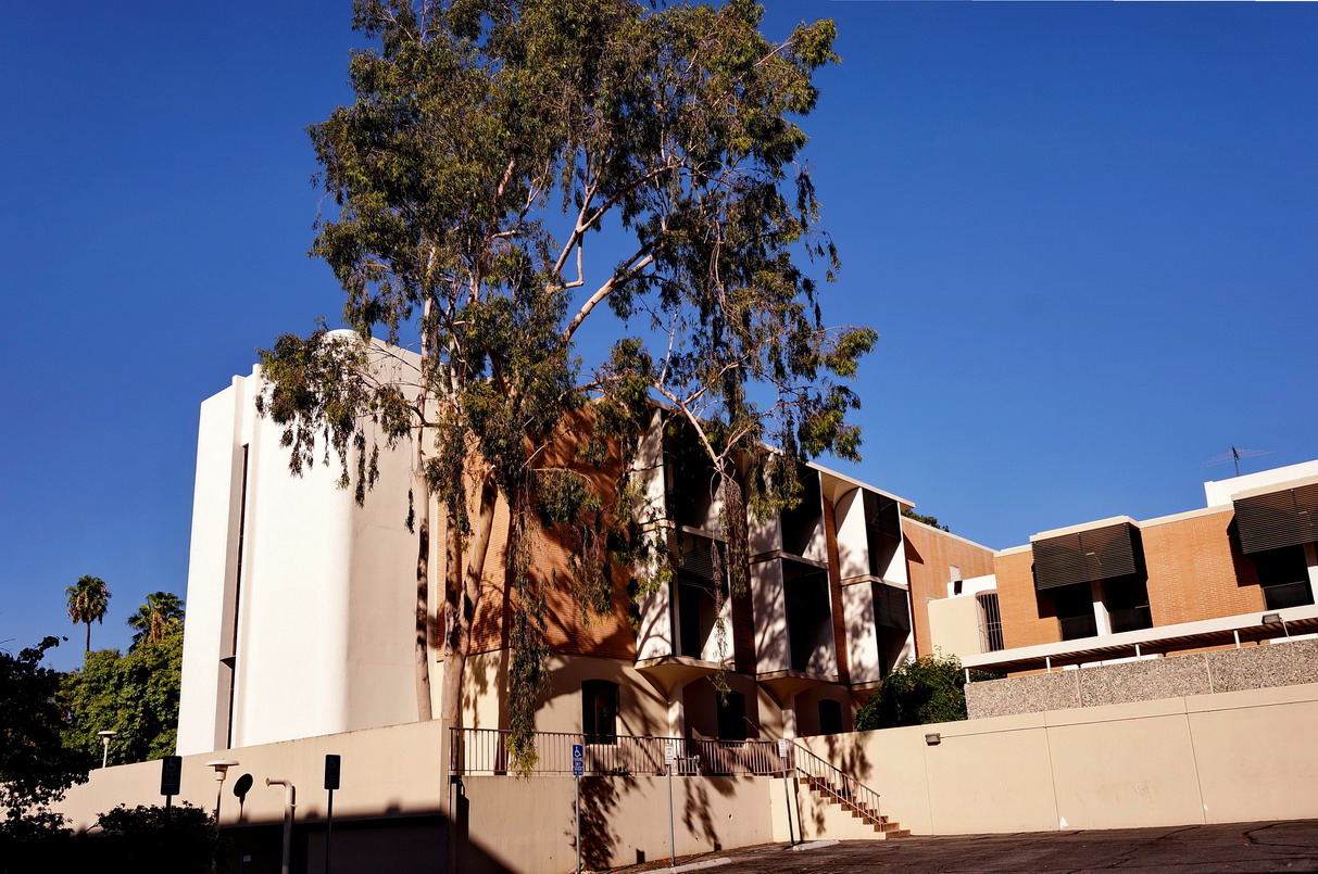 加州大学里弗赛德分校