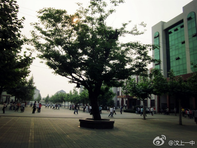 汶上县第一中学