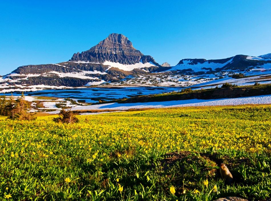  p>美国冰川国家公园(glacier national park)位于美国蒙大拿州北部