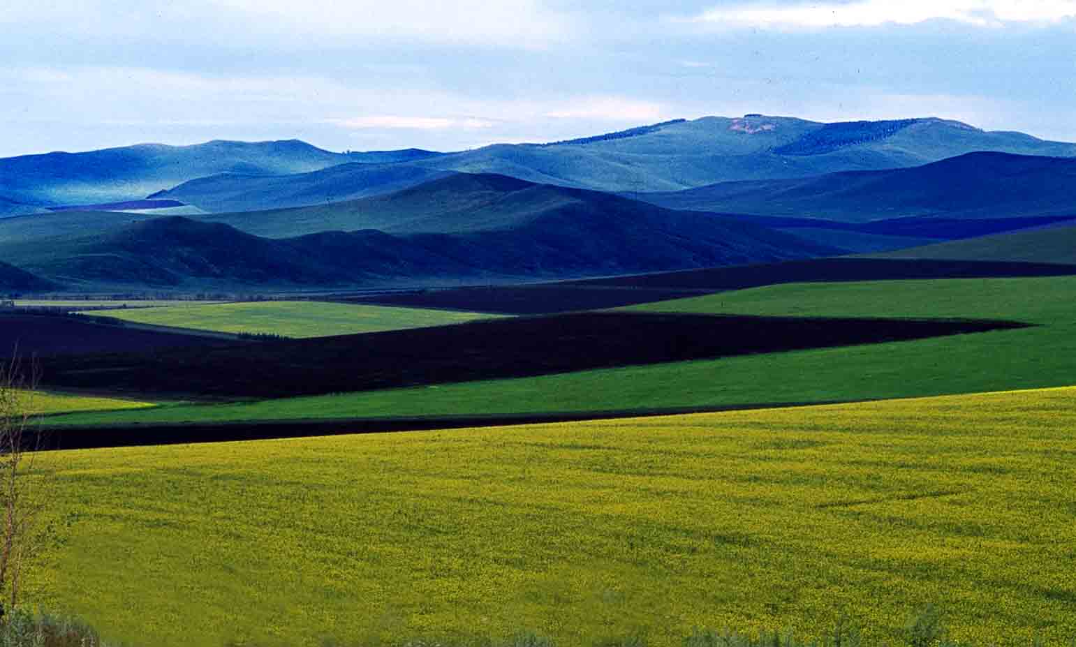  p>华北平原( i>north china plain;hua-pei ping-yuan;huabei ping