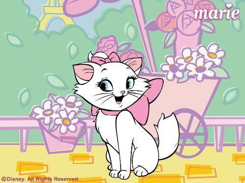 《 a target="_blank" href="/item/猫儿历险记/994135" data-lemmaid