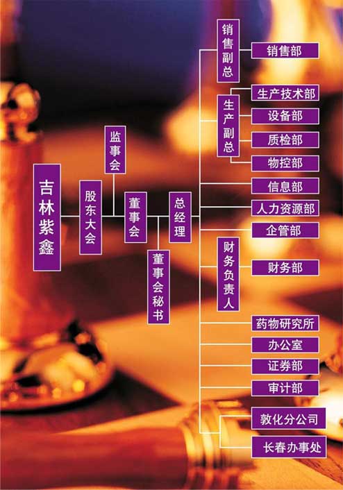 紫鑫药业市值(紫鑫药业股东人数)