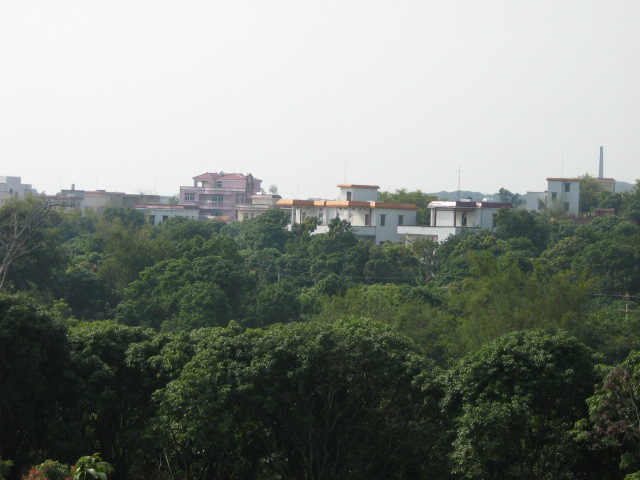 广东省茂名高州市石鼓镇